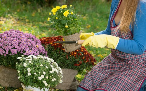 Close-up of a gardener's hands pruning a plant, showing accessible outdoor work practices.