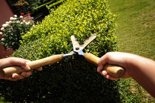 Eco-friendly lawn care equipment in use