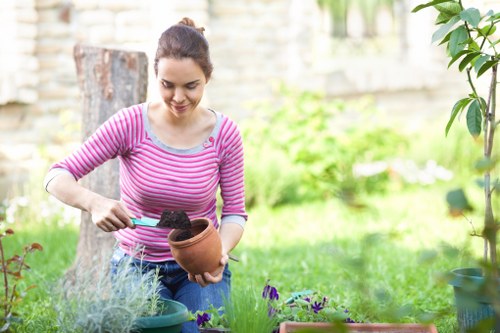 Gardener correcting a planting or repair