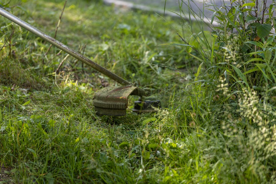 A close-up view of a garden area showing freshly cut grass and uneven soil patches, with a lawn mower blade visible in the foreground. The garden features a mix of lush green grass, dense foliage, and