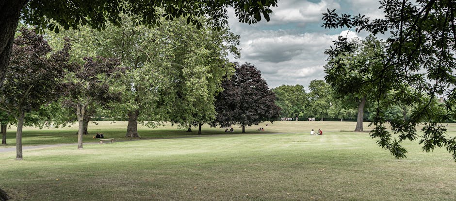 A close-up view of a garden area showing freshly cut grass and uneven soil patches, with a lawn mower blade visible in the foreground. The garden features a mix of lush green grass, dense foliage, and